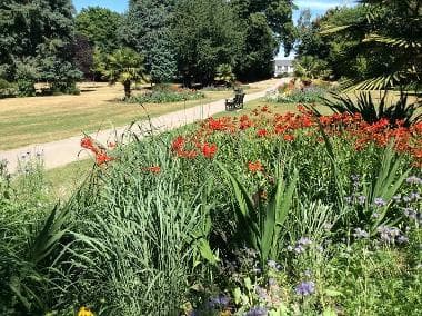 DaiseyMac Flowers, Gosport, Gosport