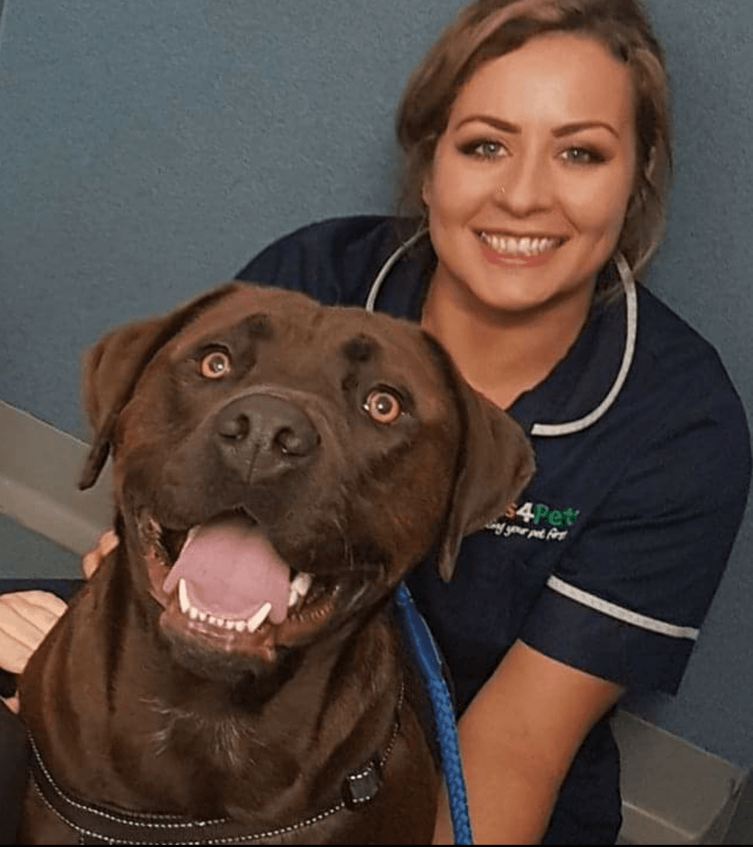 Vets4Pets - Gosport, Gosport, Gosport